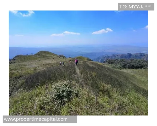 热血足球巨星激情呐喊震撼壁纸点燃球迷无限热情 热血足球巨星激情呐喊震撼壁纸点燃球迷无限热情