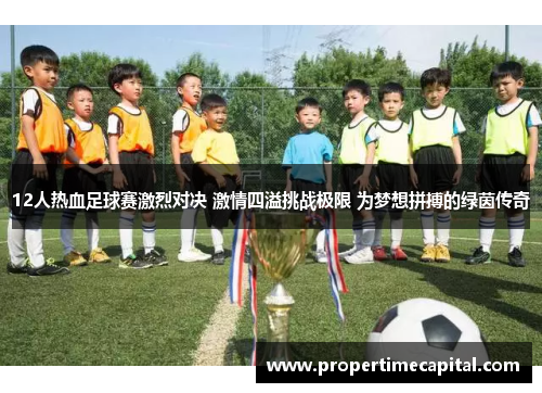 12人热血足球赛激烈对决 激情四溢挑战极限 为梦想拼搏的绿茵传奇